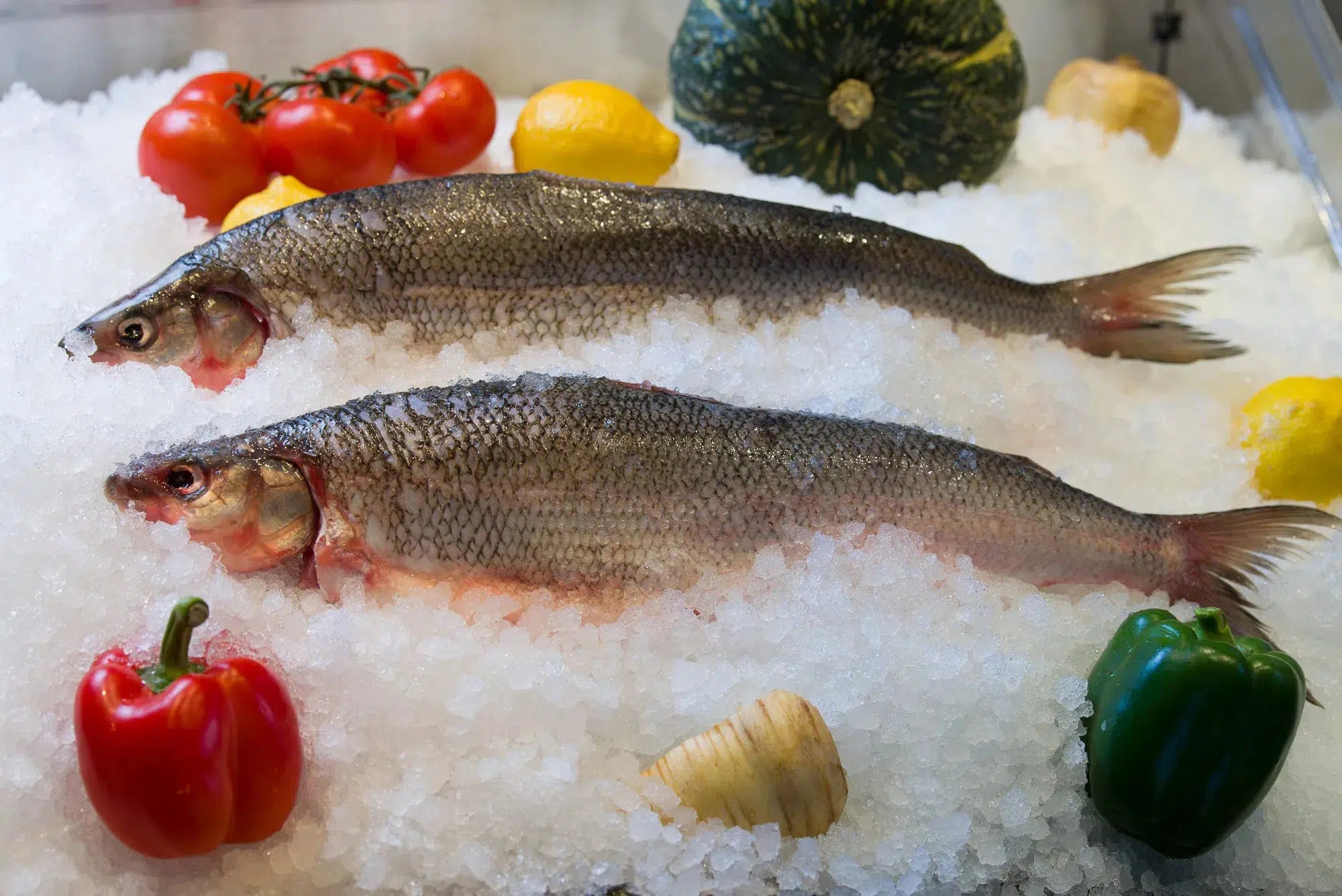 White Fish Whole