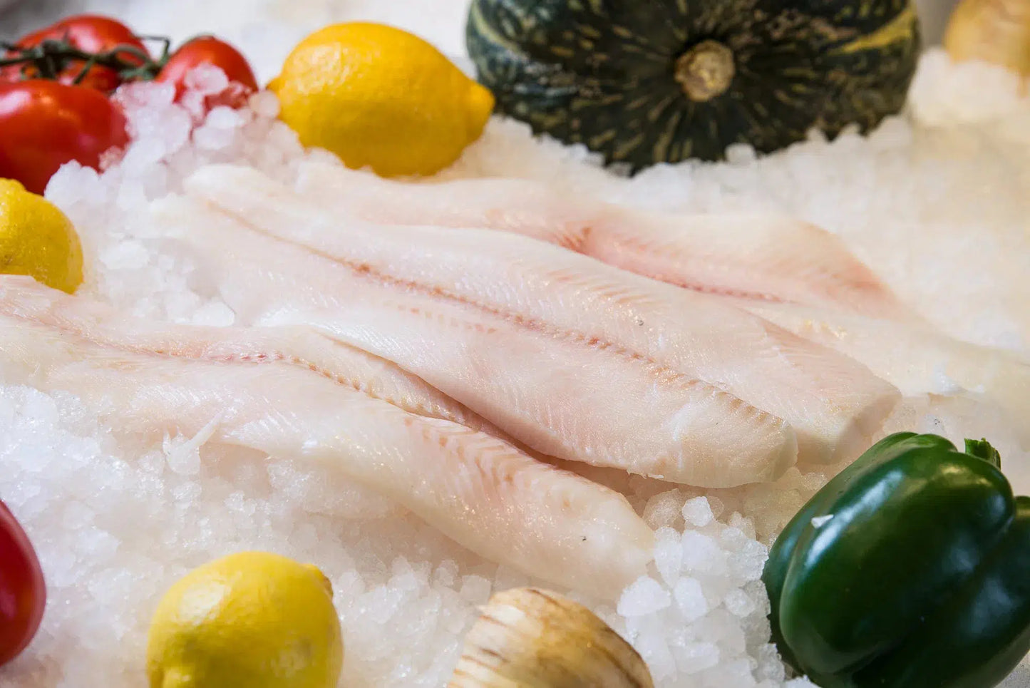 Turbot Fillet